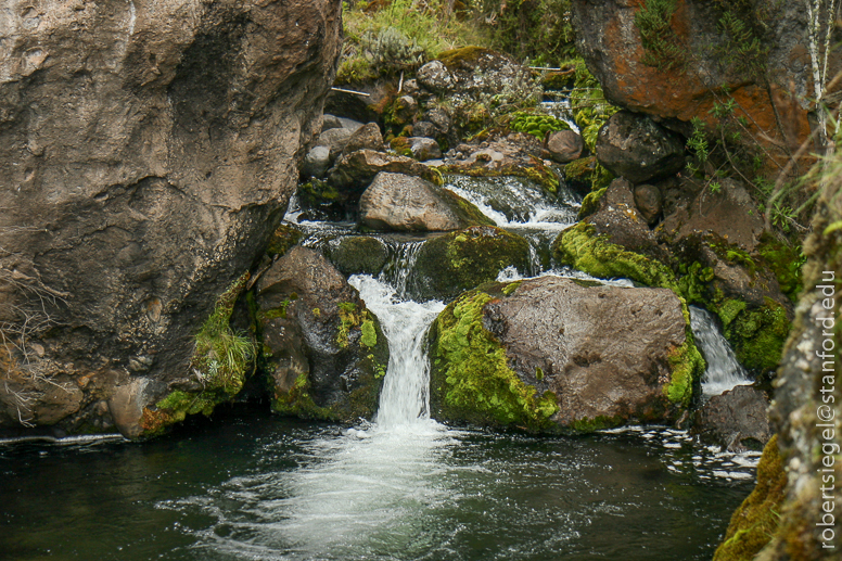 mount kenya